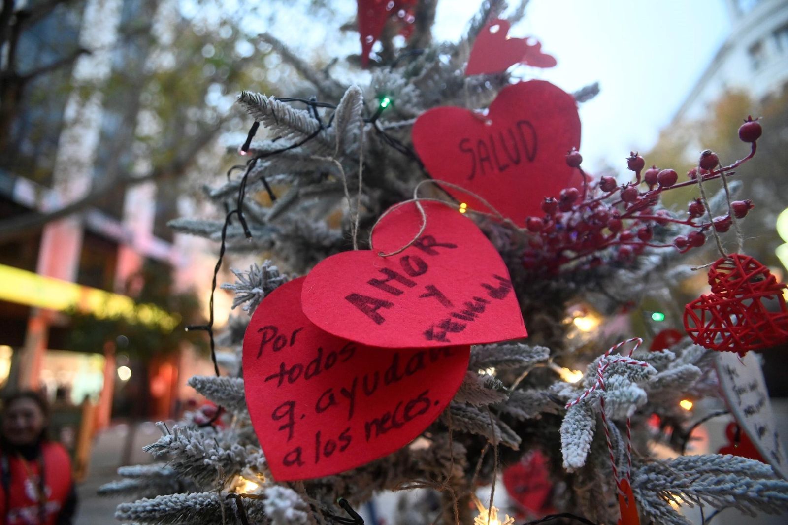 El árbol solidario de Cáritas en Córdoba