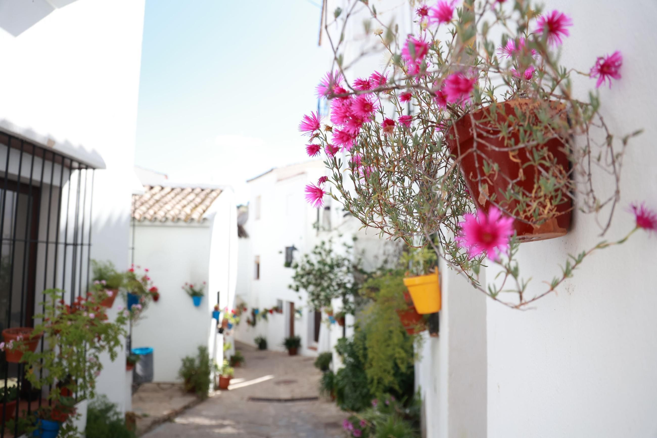 El Gastor se va de feria: toda la programación de actividades para disfrutar en el Balcón de los Pueblos Blancos de Cádiz
