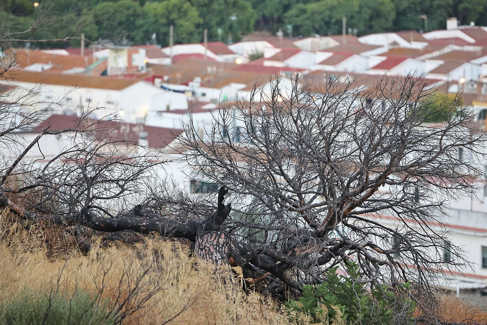 Las imágenes más destacadas del domingo 25 de agosto en Huelva