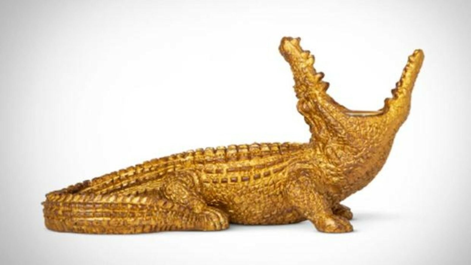 El cocodrilo de Tiger