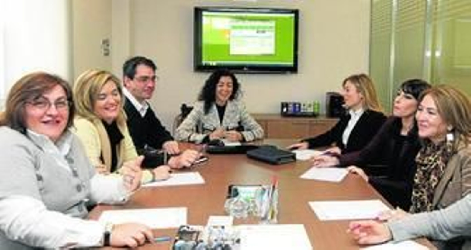 La plantilla de la empresa está constituida por doce profesionales de distintos ámbitos de asesoramiento.