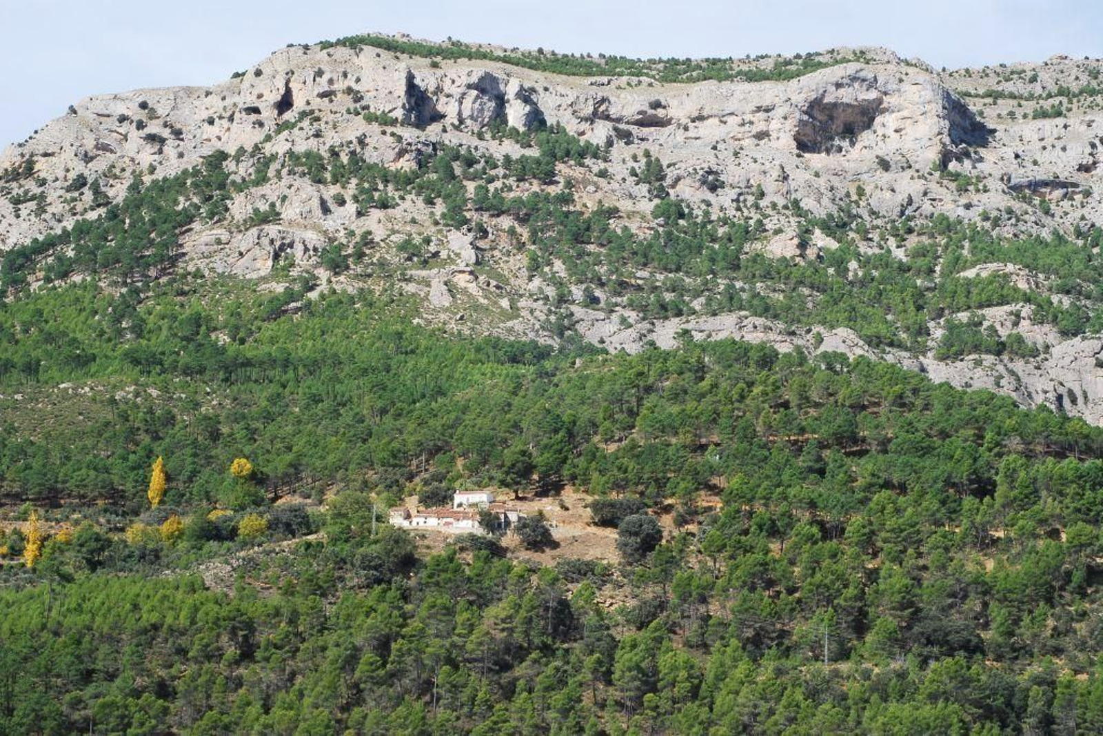 Bosques en Galería Río Segura La Toba en Santiago Pontones.