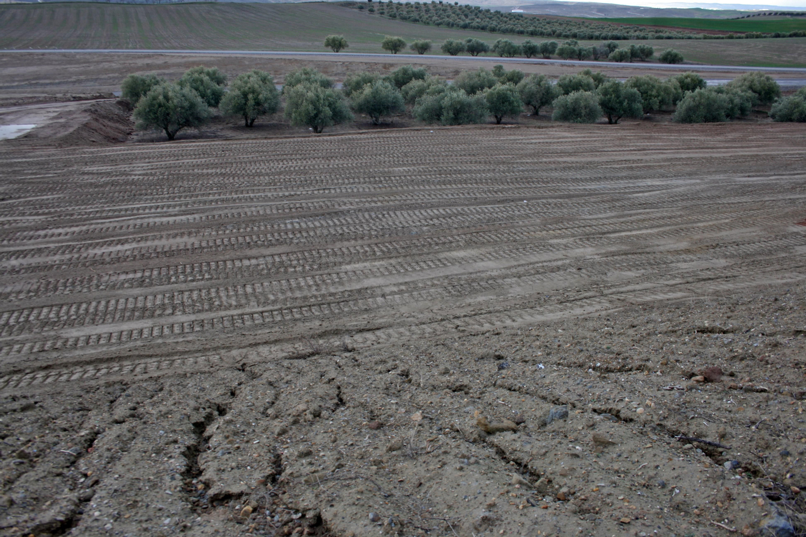 Estado de las obras de la Segunda Circunvalación