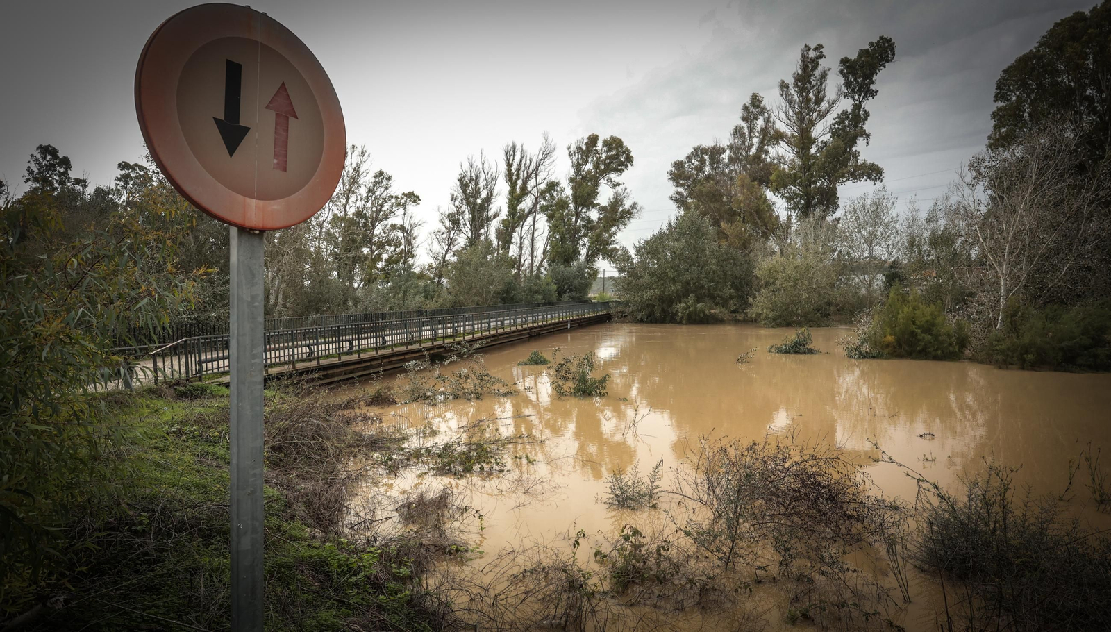 Imágenes de los destrozos tras el paso de la Dana por la campiña de Jerez