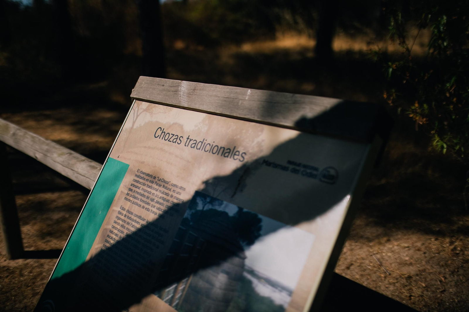 Un recorrido fotográfico por el Paraje Natural Marismas del Odiel