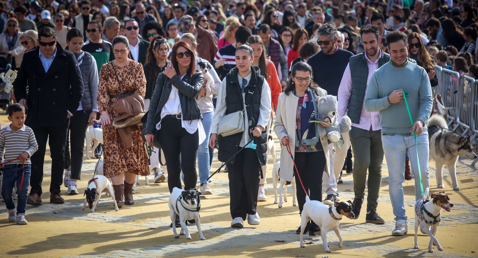 Fiesta de san Antón 2024 en Jerez