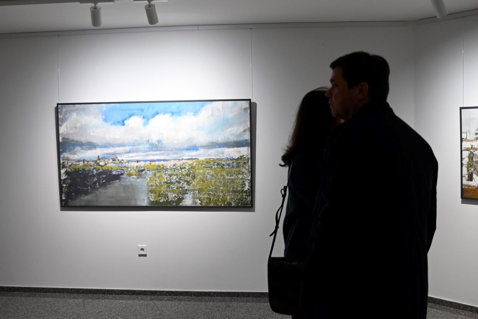 La exposición de Fernando Aguayo en la sala Cajasur de Córdoba, en imágenes
