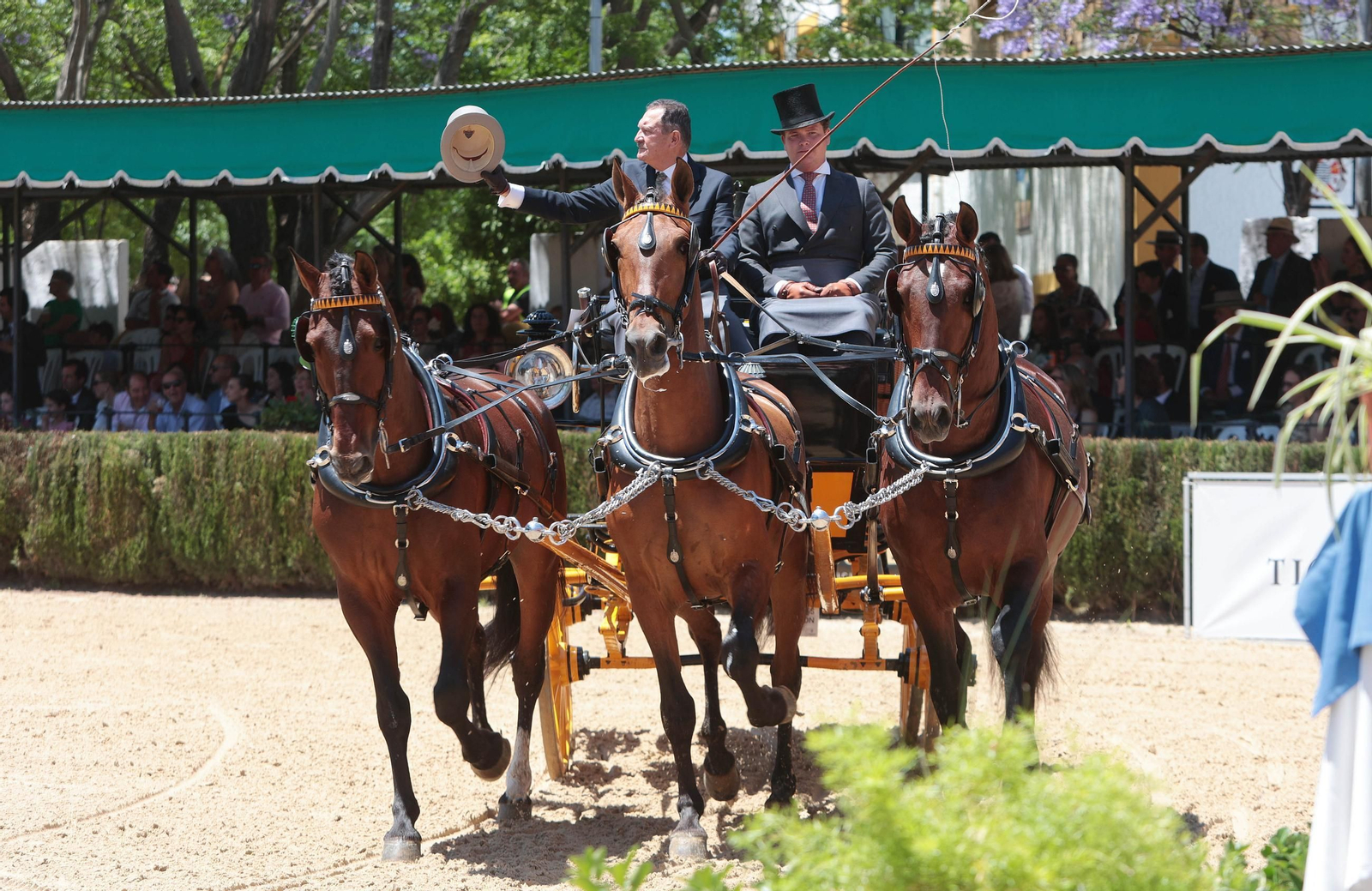 Entrega del Caballo de Oro Jerez 2024 a Francisco Dorante