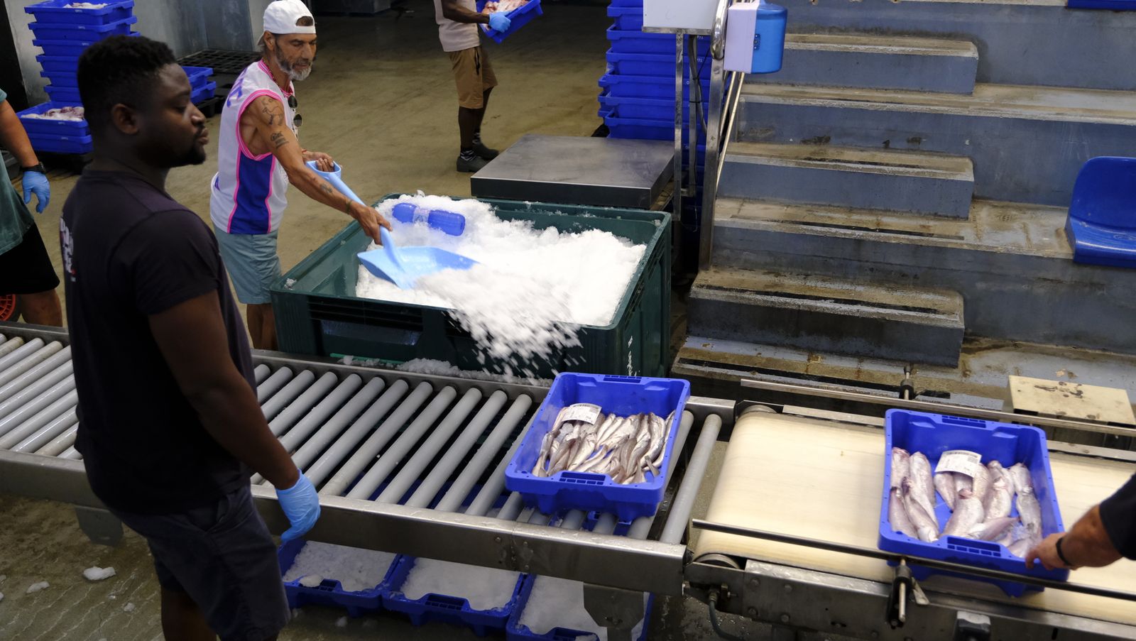 Imágenes de la visita guiada a la Lonja del Puerto Pesquero de Almería