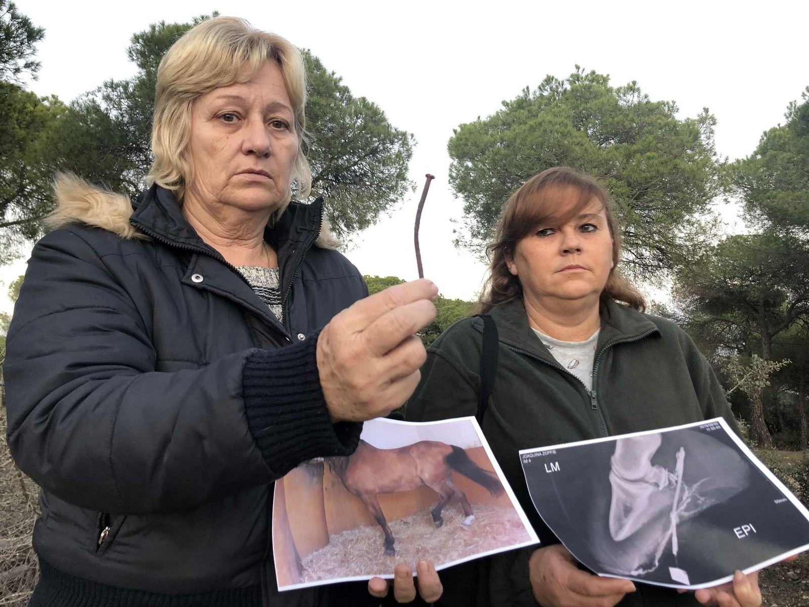 Tina muestra el clavo que el animal se clavó en el casco de una pata. Tina muestra el clavo que el animal se clavó en el casco de una pata.