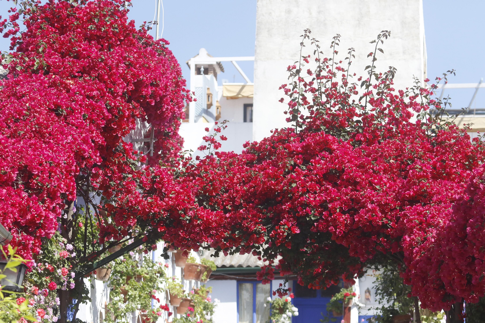 Ruta Santa Marina - San Agustín de los Patios de Córdoba, en imágenes