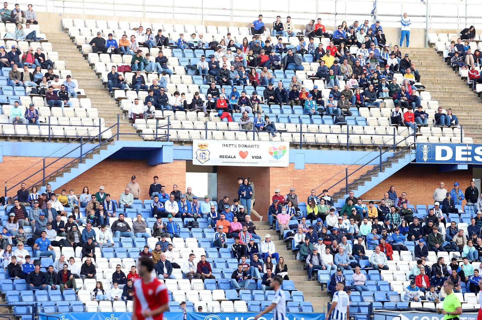 Imágenes del ambiente en las gradas del Nuevo Colombino