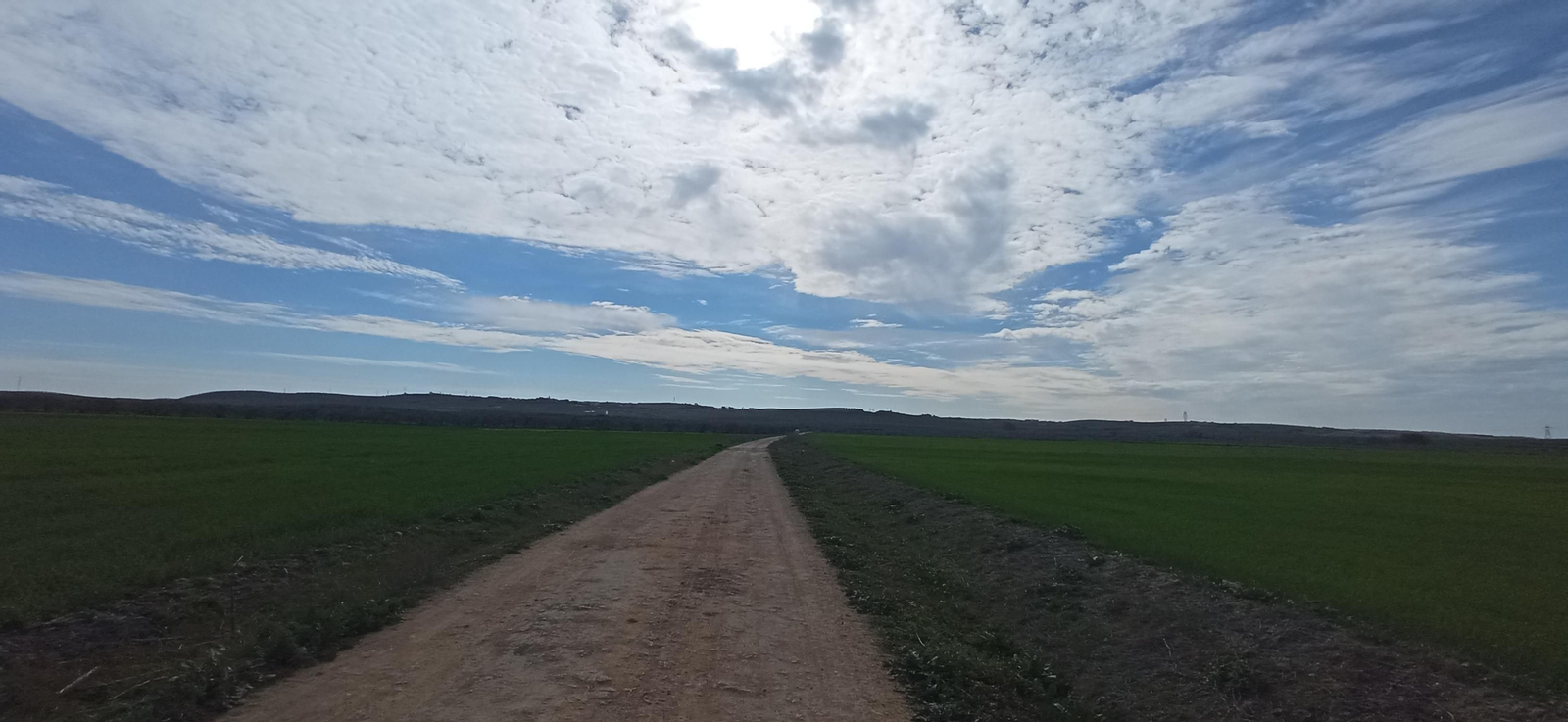 Las imágenes de la ruta de la dehesa de Albaida del Aljarafe