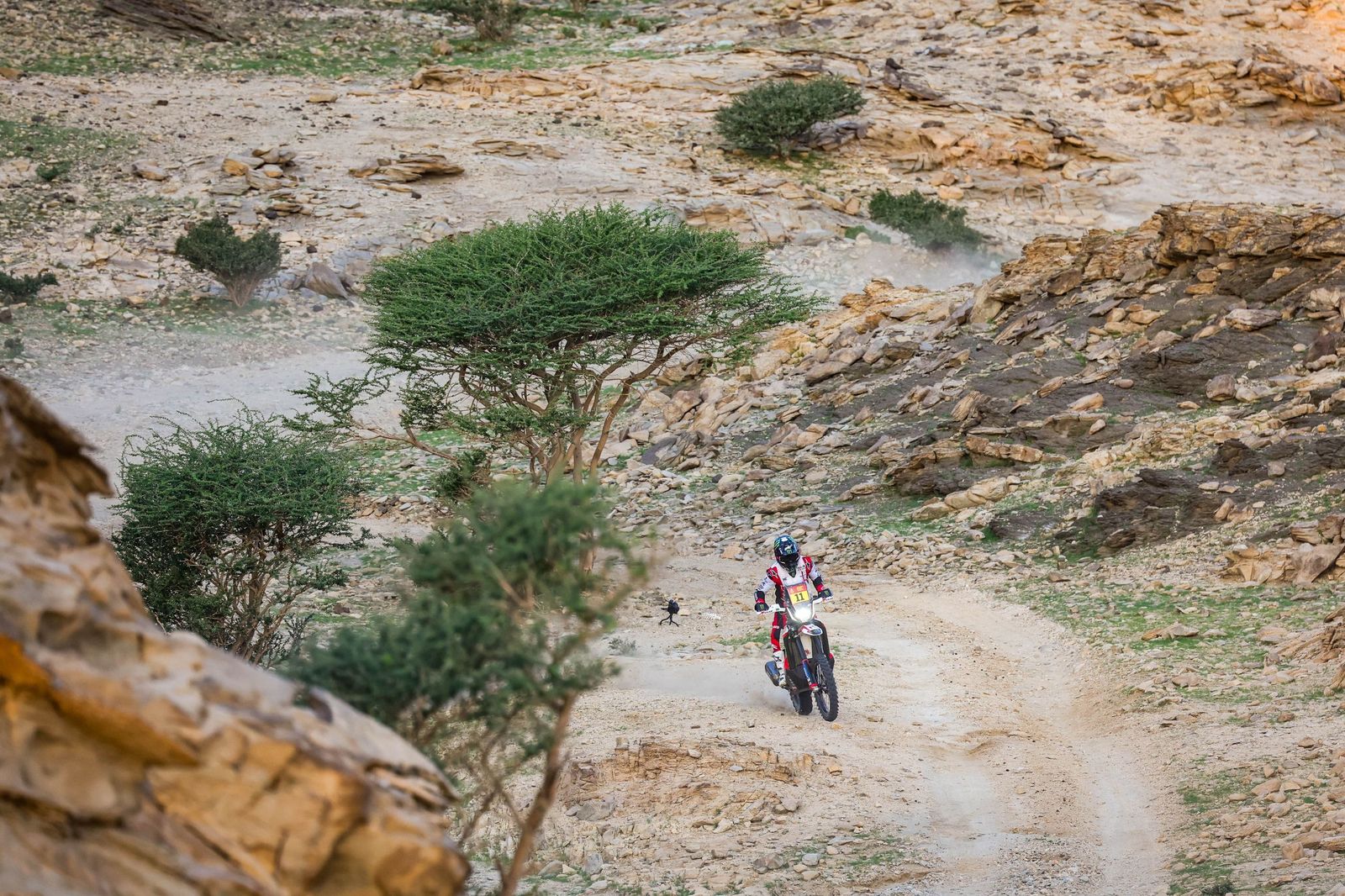 Las mejores fotos del Rally Dakar | Primera etapa