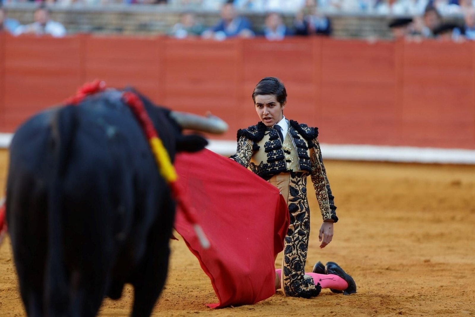 Las imágenes de la corrida de Ventura, Morante y Román en la Feria Taurina de Córdoba
