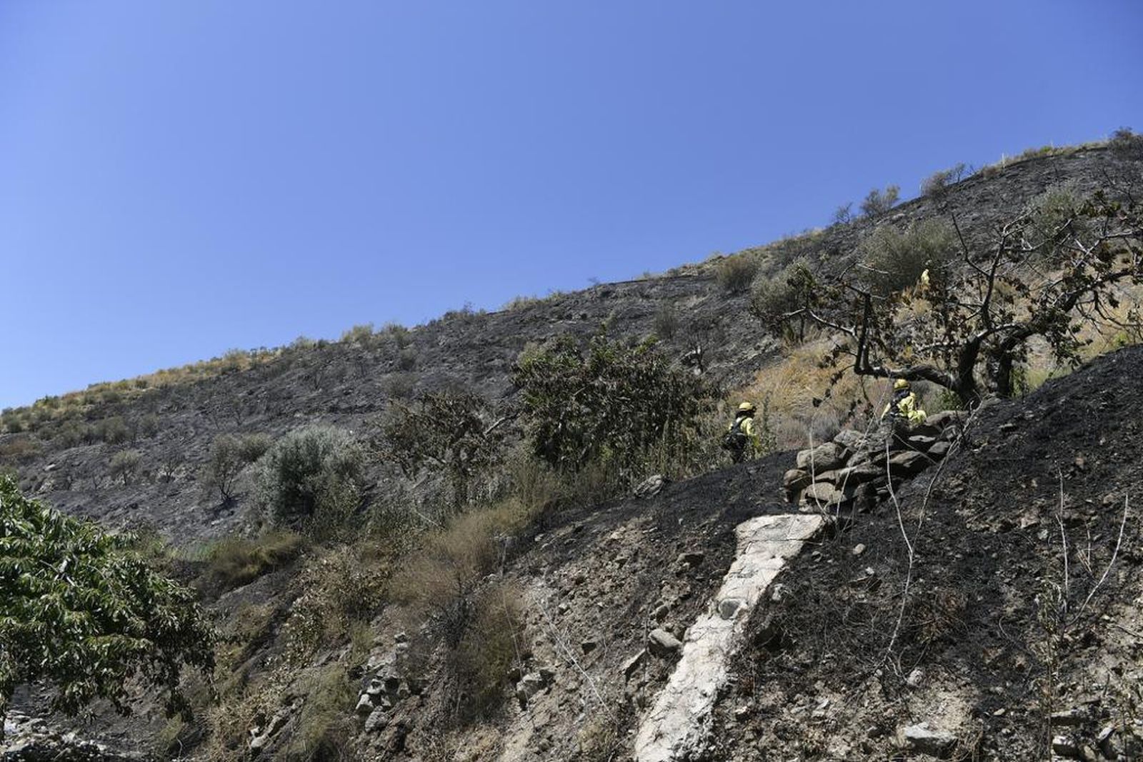 El fuego vuelve a acechar Granada con dos incendios forestales en apenas 12 horas