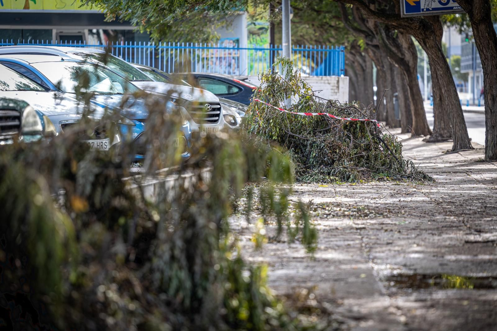 Los daños aún visibles del temporal Bernard en Cádiz
