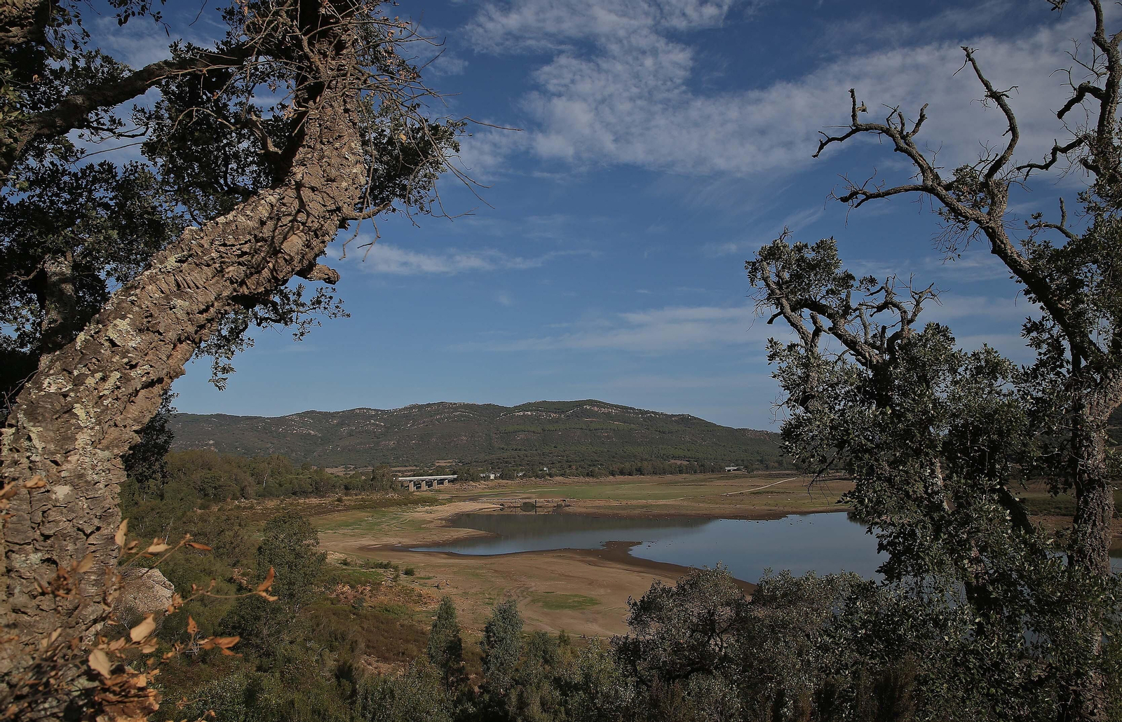 Imágenes del pantano de Charco Redondo en Los Barrios