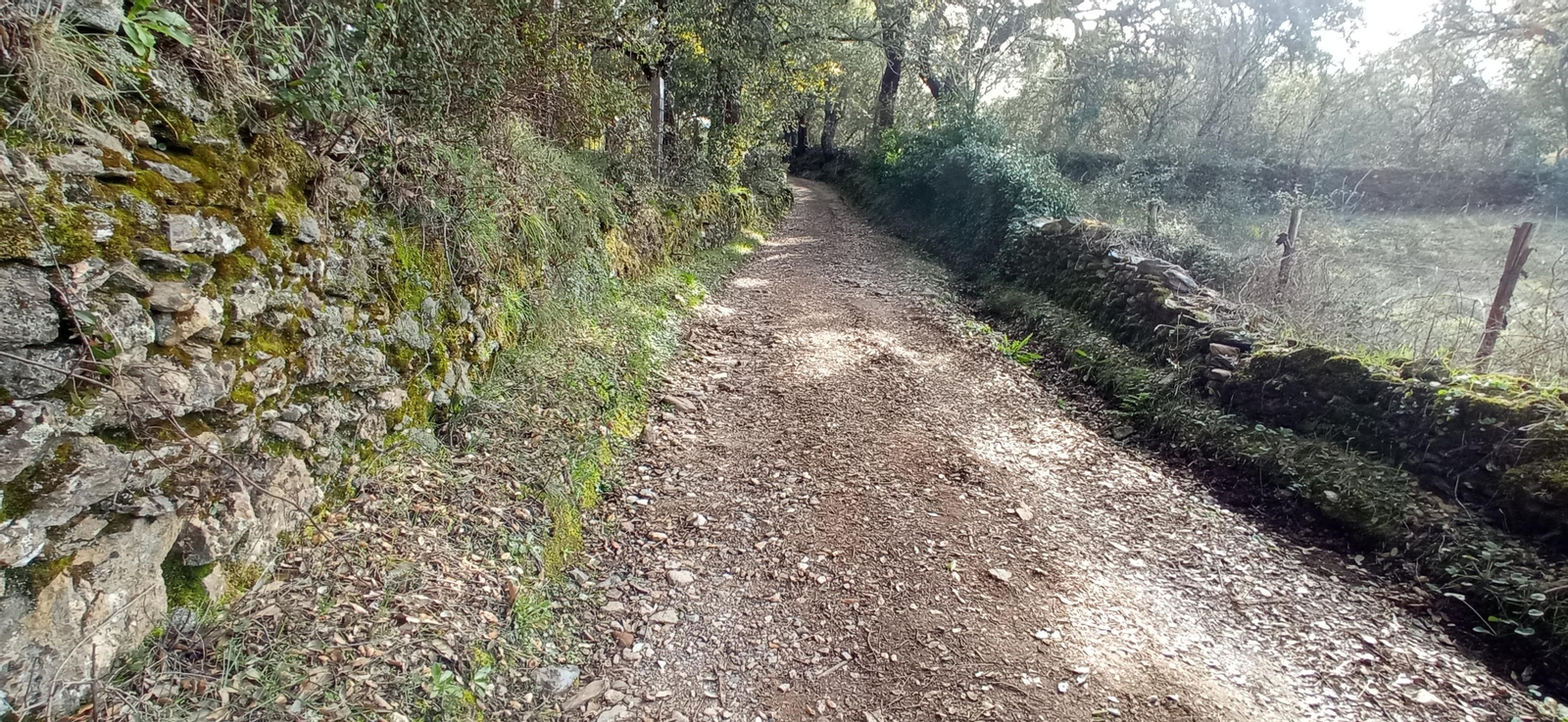 Las imágenes de la ruta de la Dehesa de Valdelama: De Los Marines a Fuenteheridos y vuelta