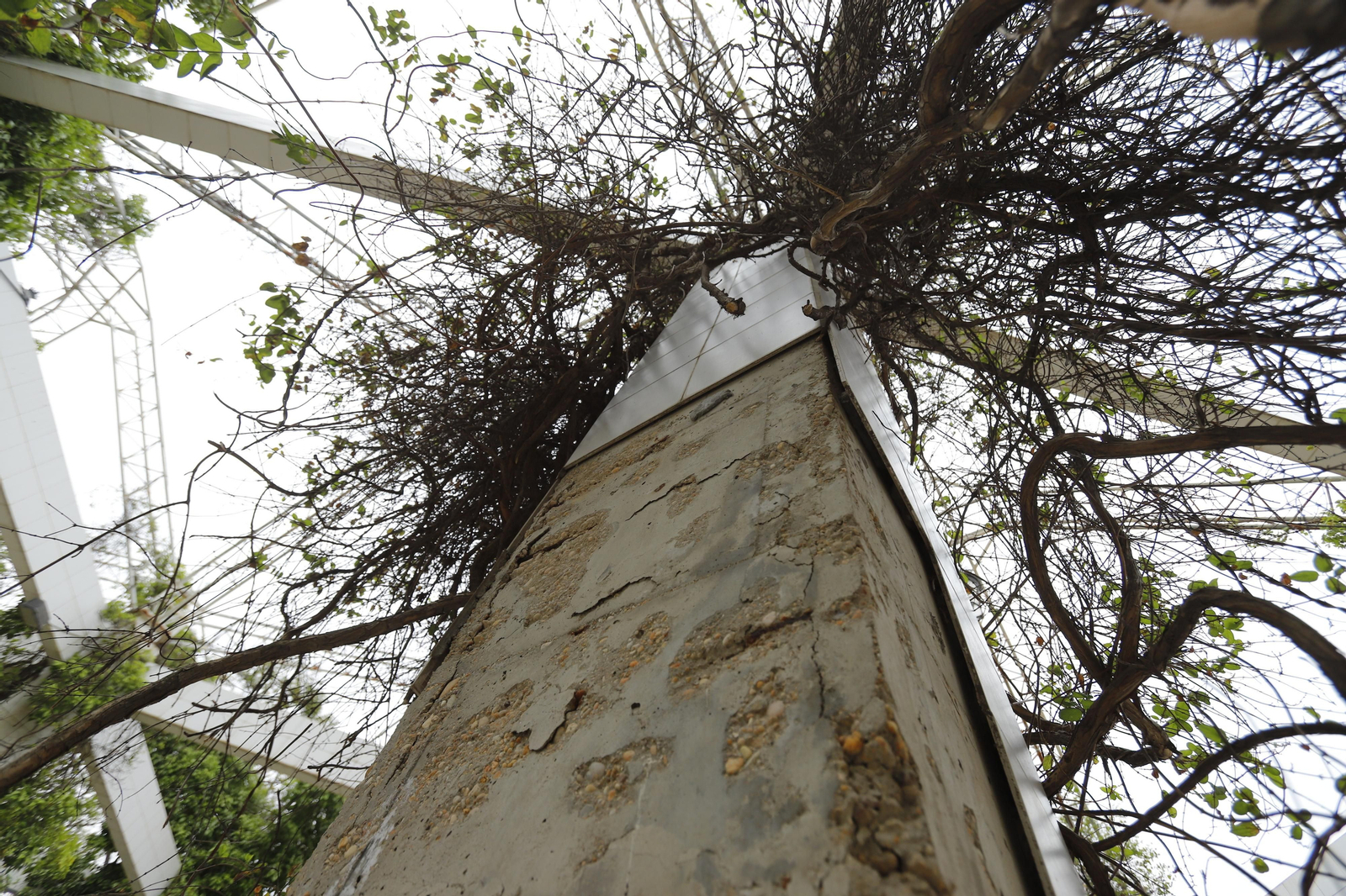 Imágenes del deterioro en la Avenida de Andalucía