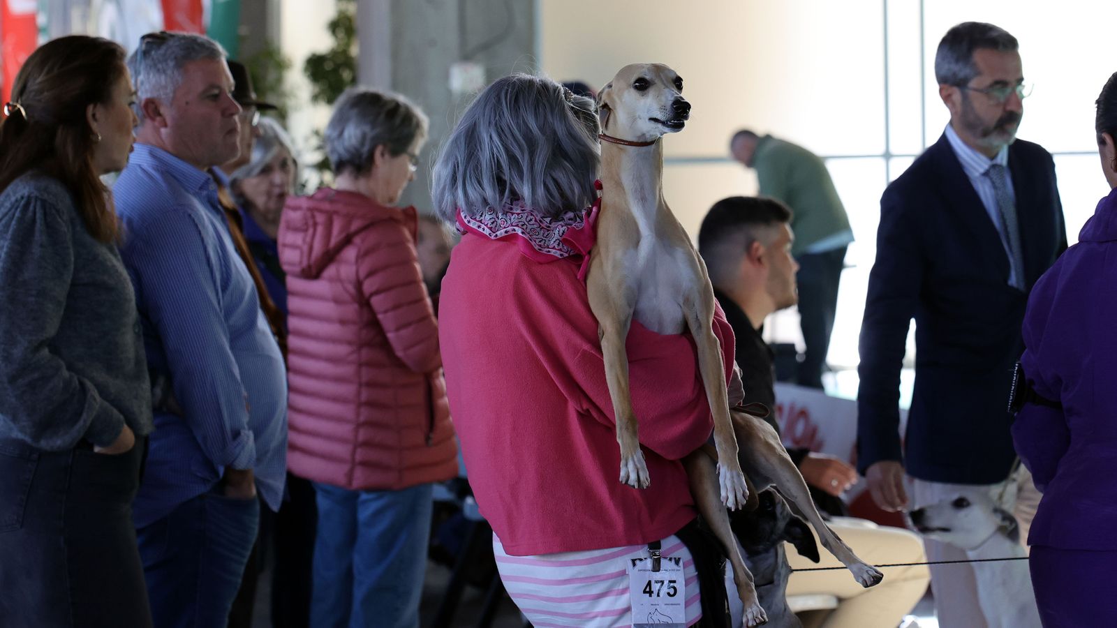 Imágenes de la 49ª edición de la Exposición Nacional Canina y la 25ª edición de la Exposición Internacional Canina en IFECA Jerez