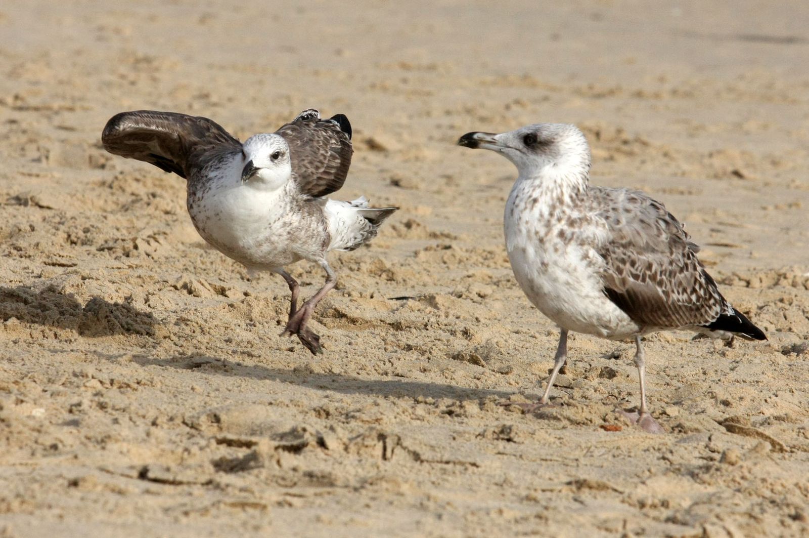 Imágenes del lunes 6 de mayo en Huelva