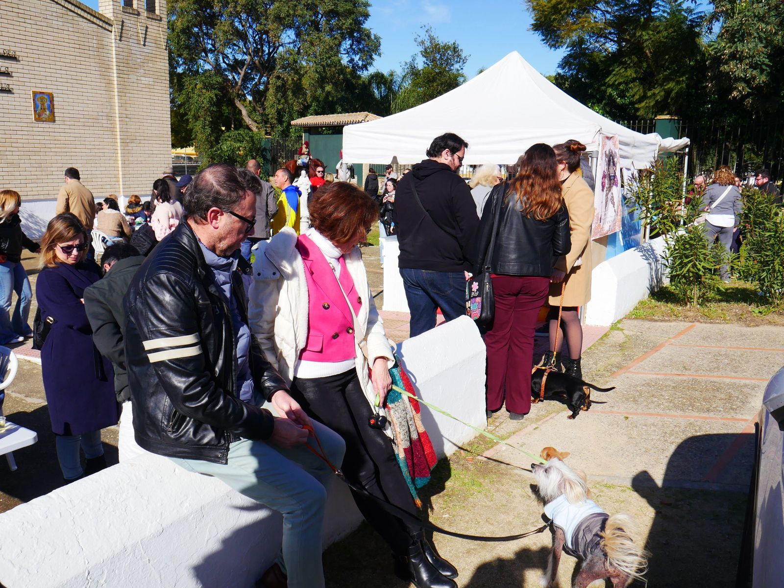 El San Antón de Camposoto de San Fernando en imágenes