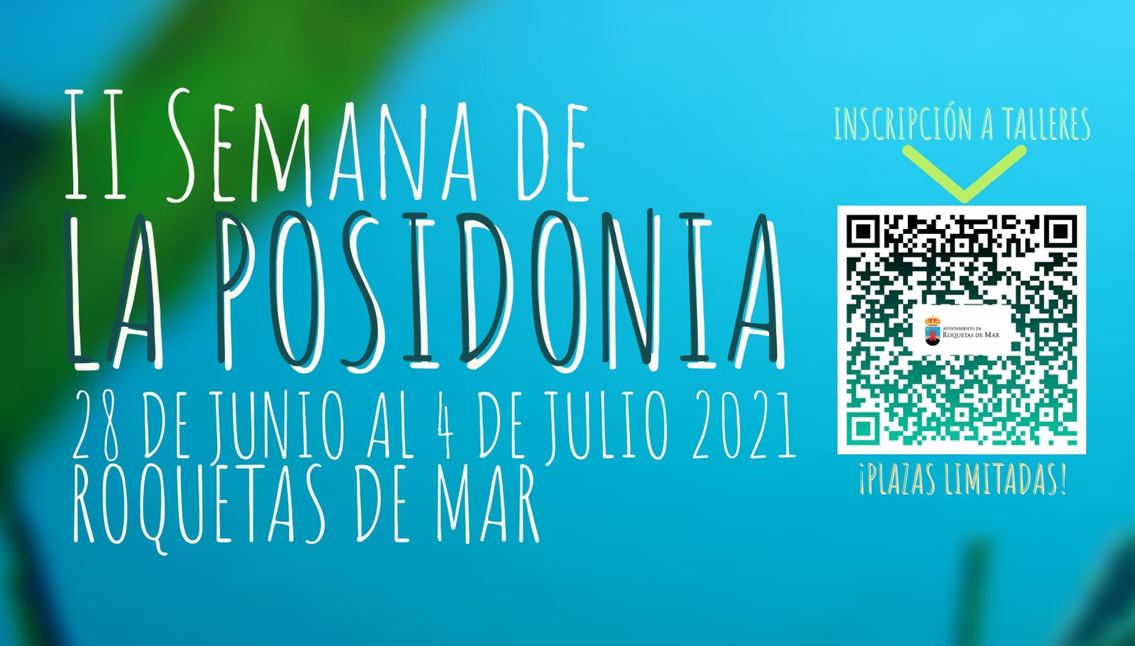 Una semana dedicada a la divulgación de la posidonia en Roquetas de Mar