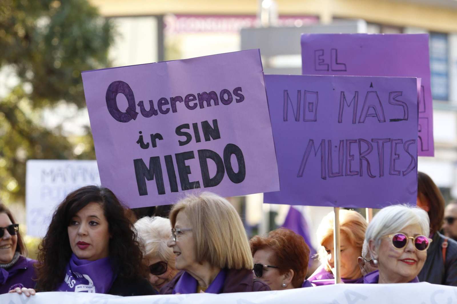 Pancartas reivindicativas en la última manifestación del Día Internacional contra la Violencia de Género en Córdoba.