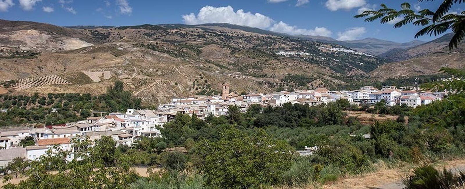 Mirador de la Paloma