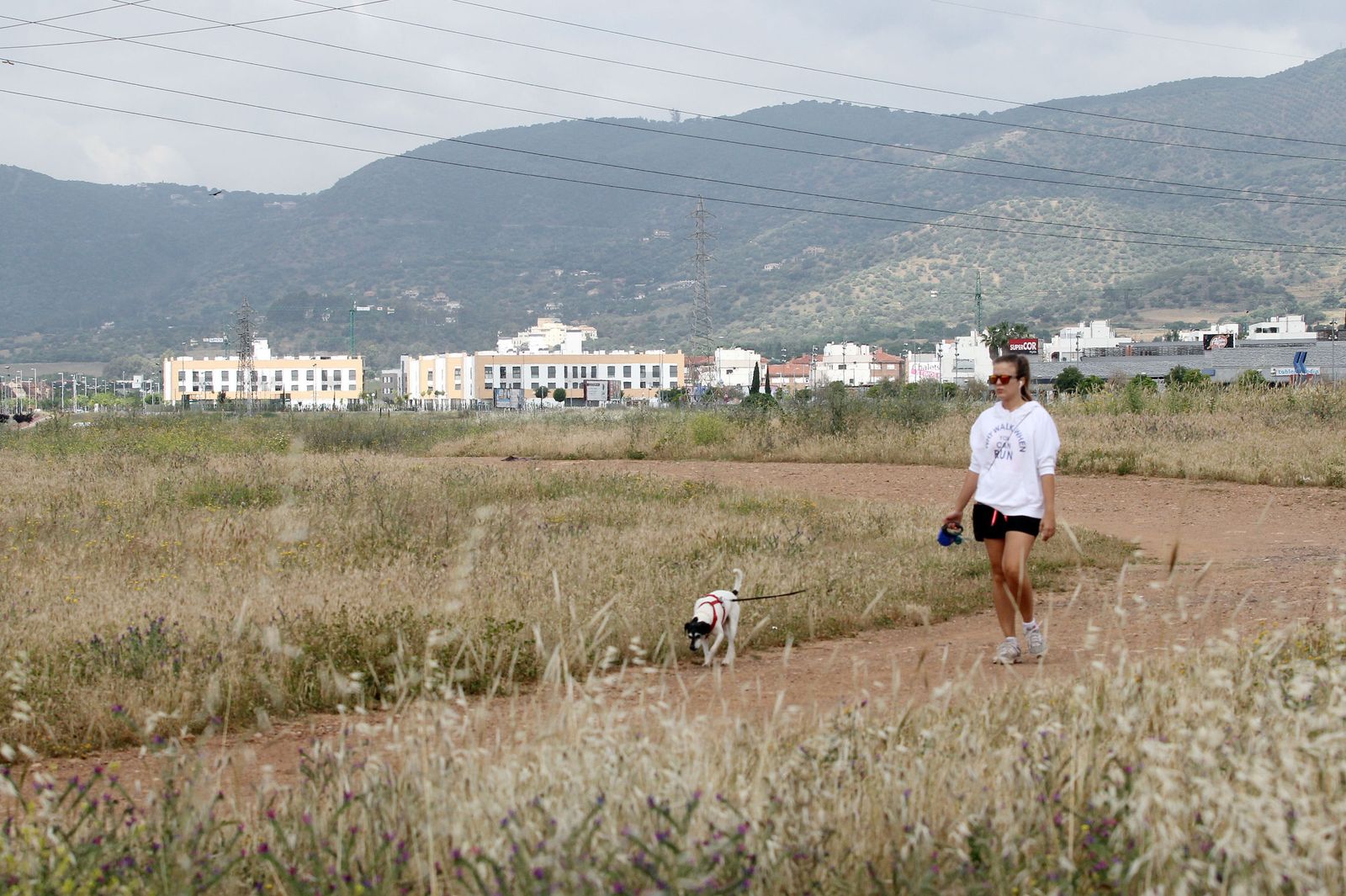 Terrenos en los que se va a intervenir.
