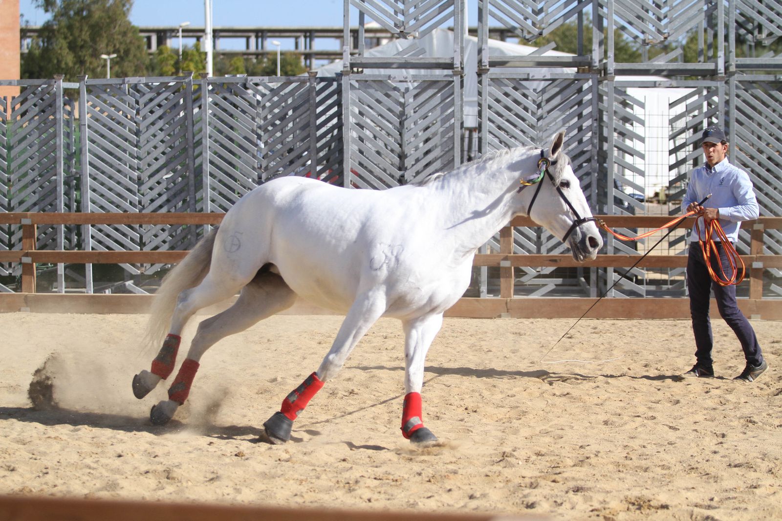 Sicab calienta motores.