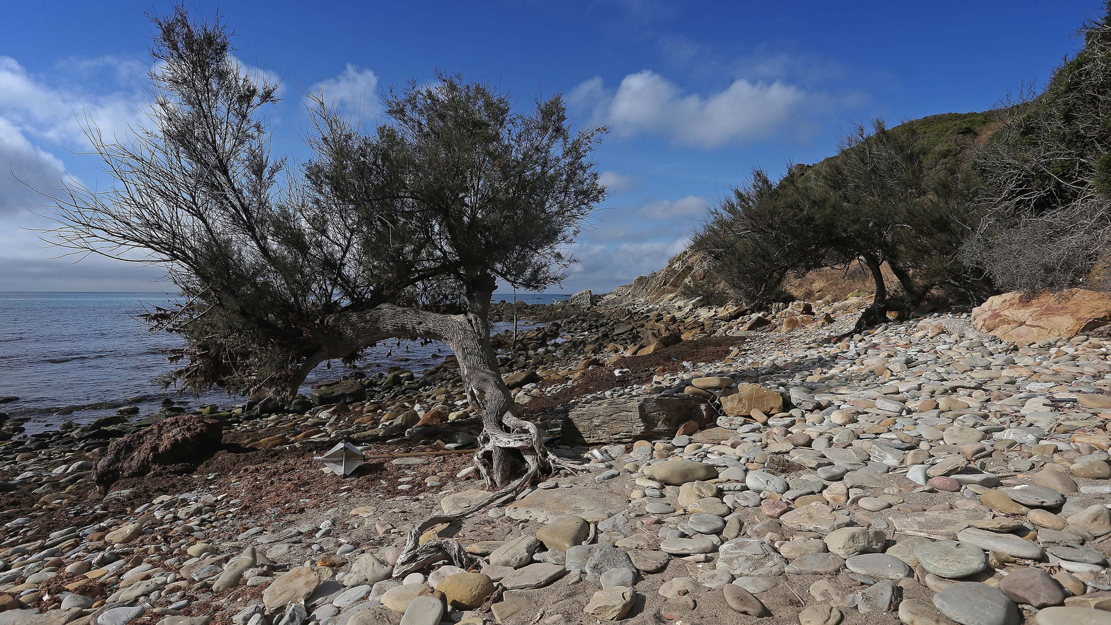 Las mejores fotos del sendero de la Colada de la Costa en Tarifa