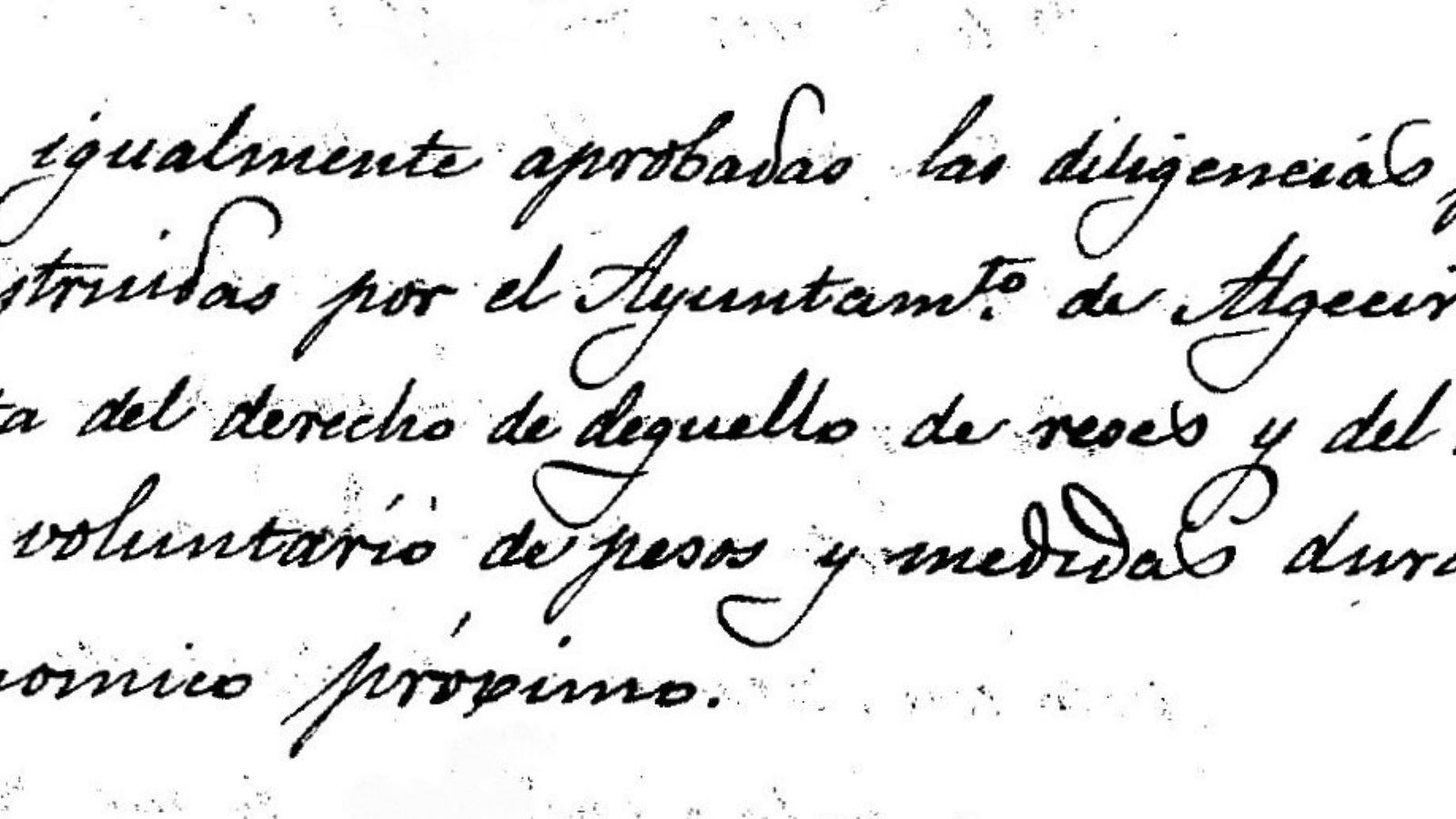 Aprobación del derecho de degüello y reses para el Ayuntamiento de Algeciras