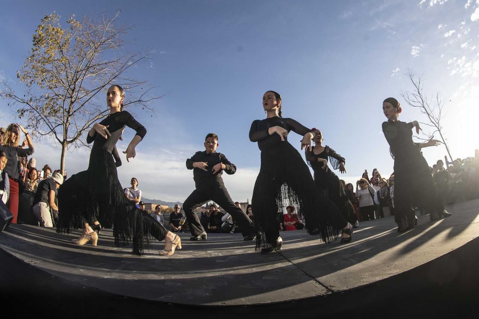 Granada celebra el Día del Flamenco, en imágenes