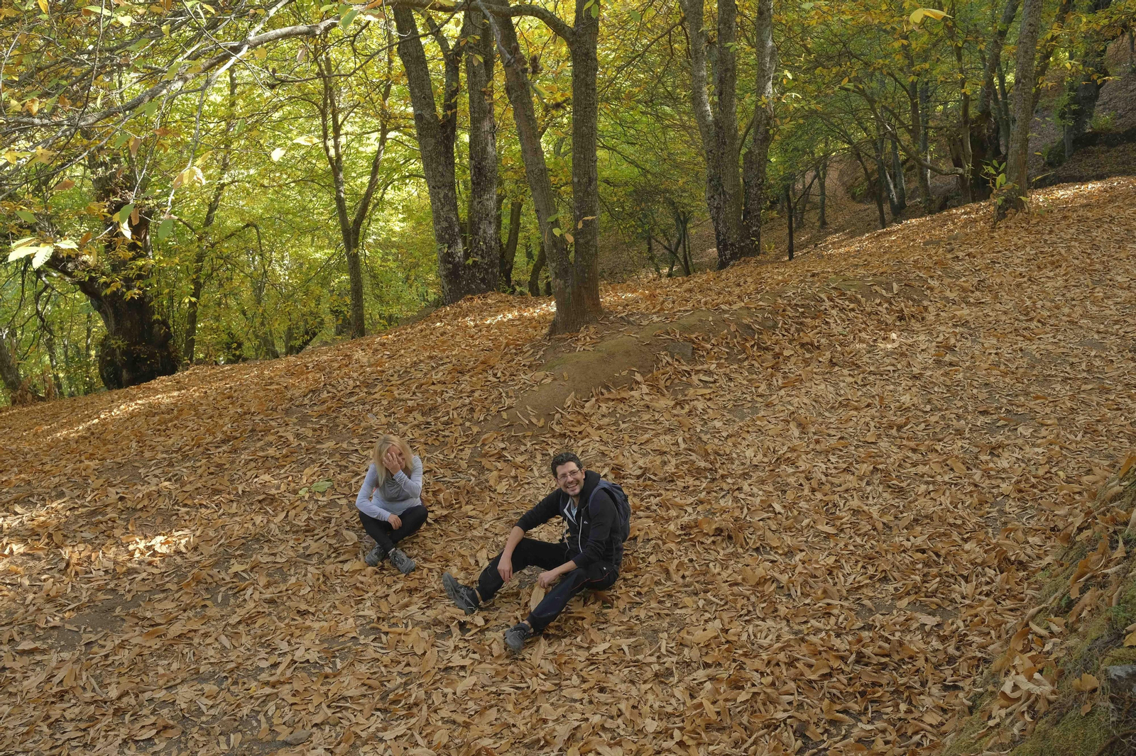 El Bosque de Cobre, en imágenes