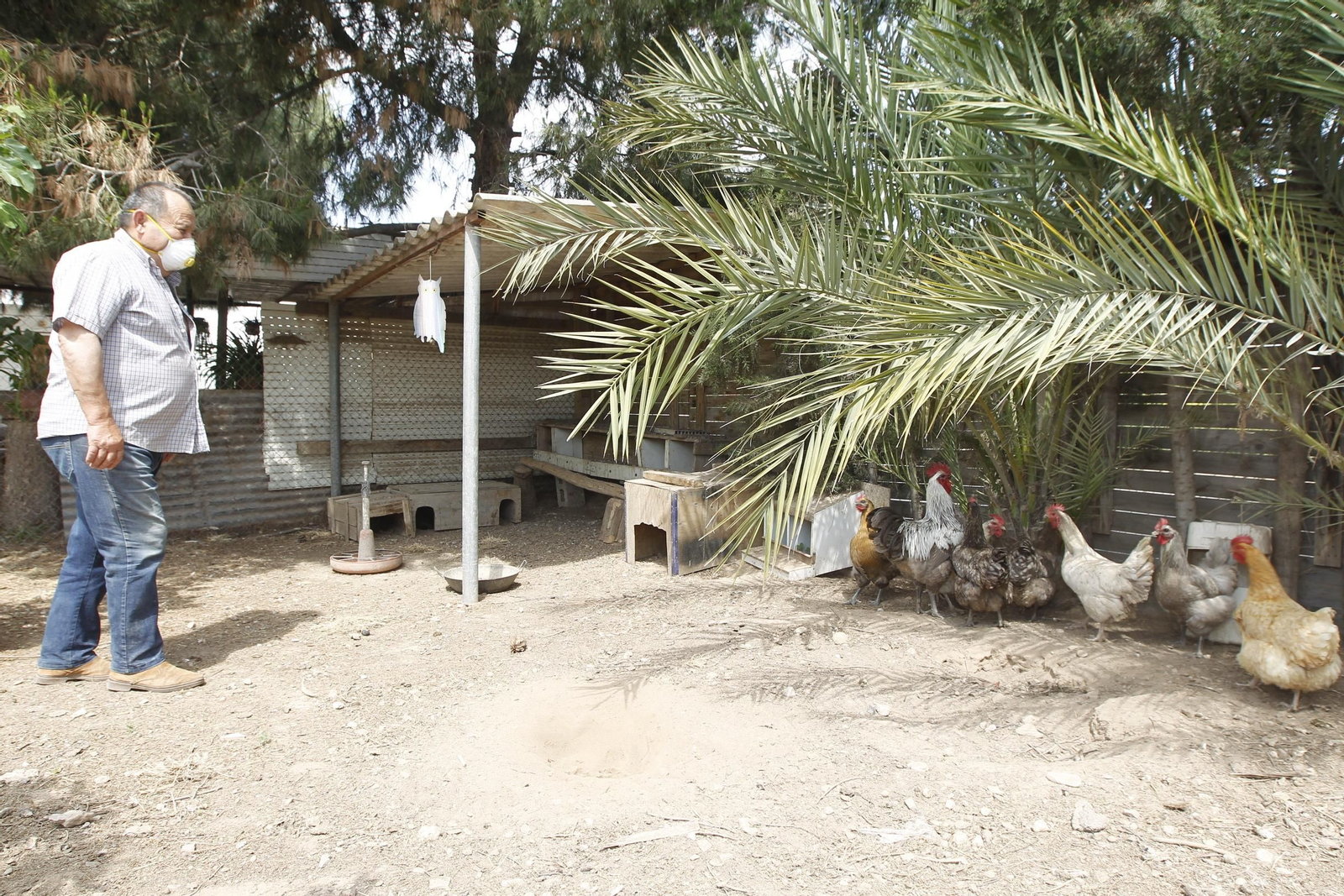 Fotogalería Pozo de la Higuera: El muro invisible