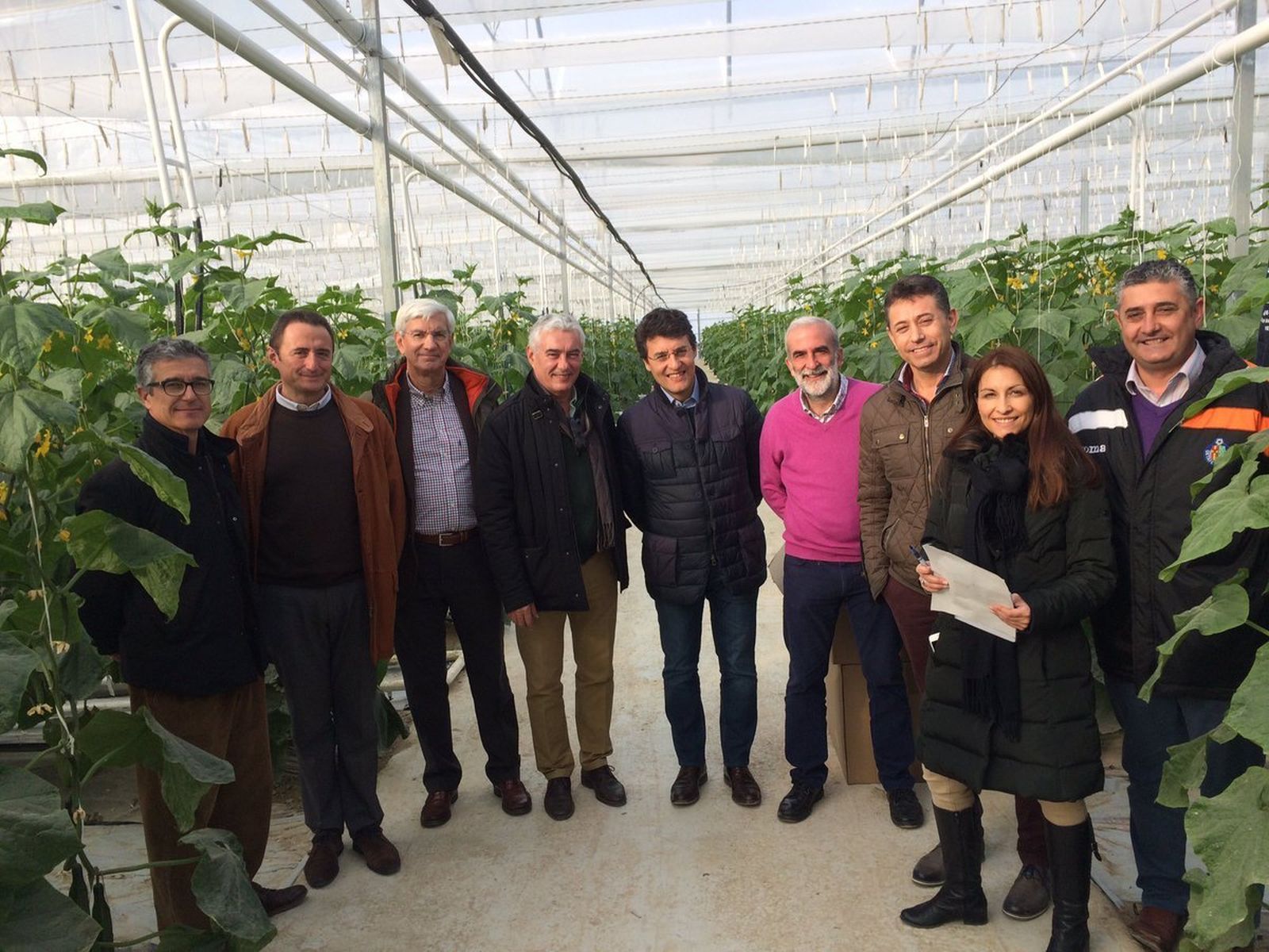 En el centro, Fernando Miranda, director general de Producciones y Mercados Agrarios, durante su visita a invernaderos de Almería el pasado diciembre.