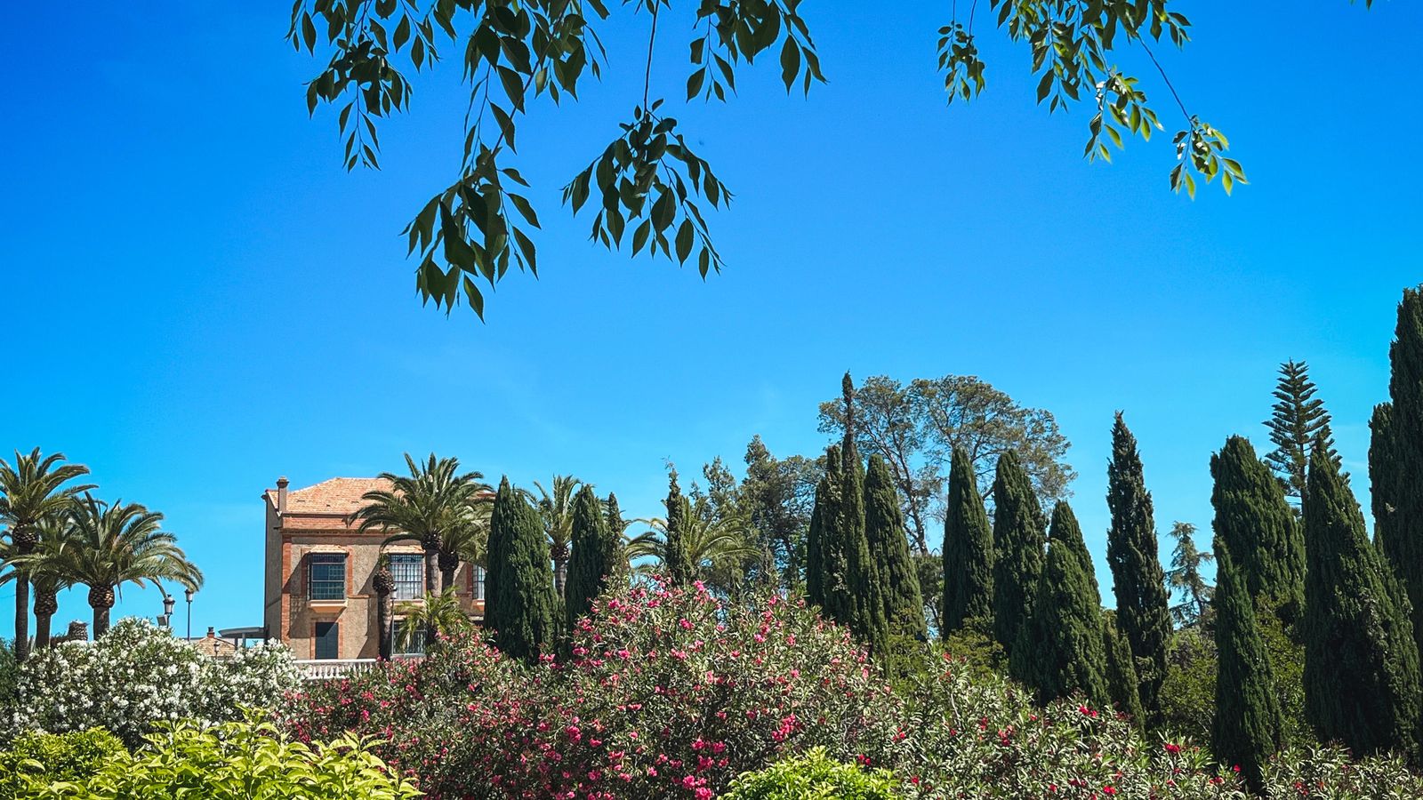 Maravillosos paisajes de Valverde del Camino.