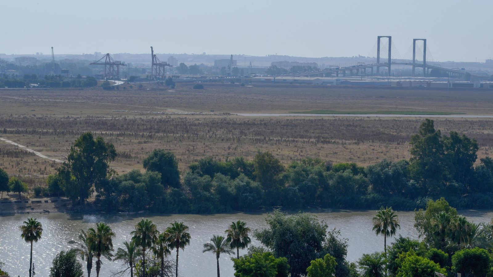 Panorámica de los suelos de Tablada junto al cauce vivo del río.