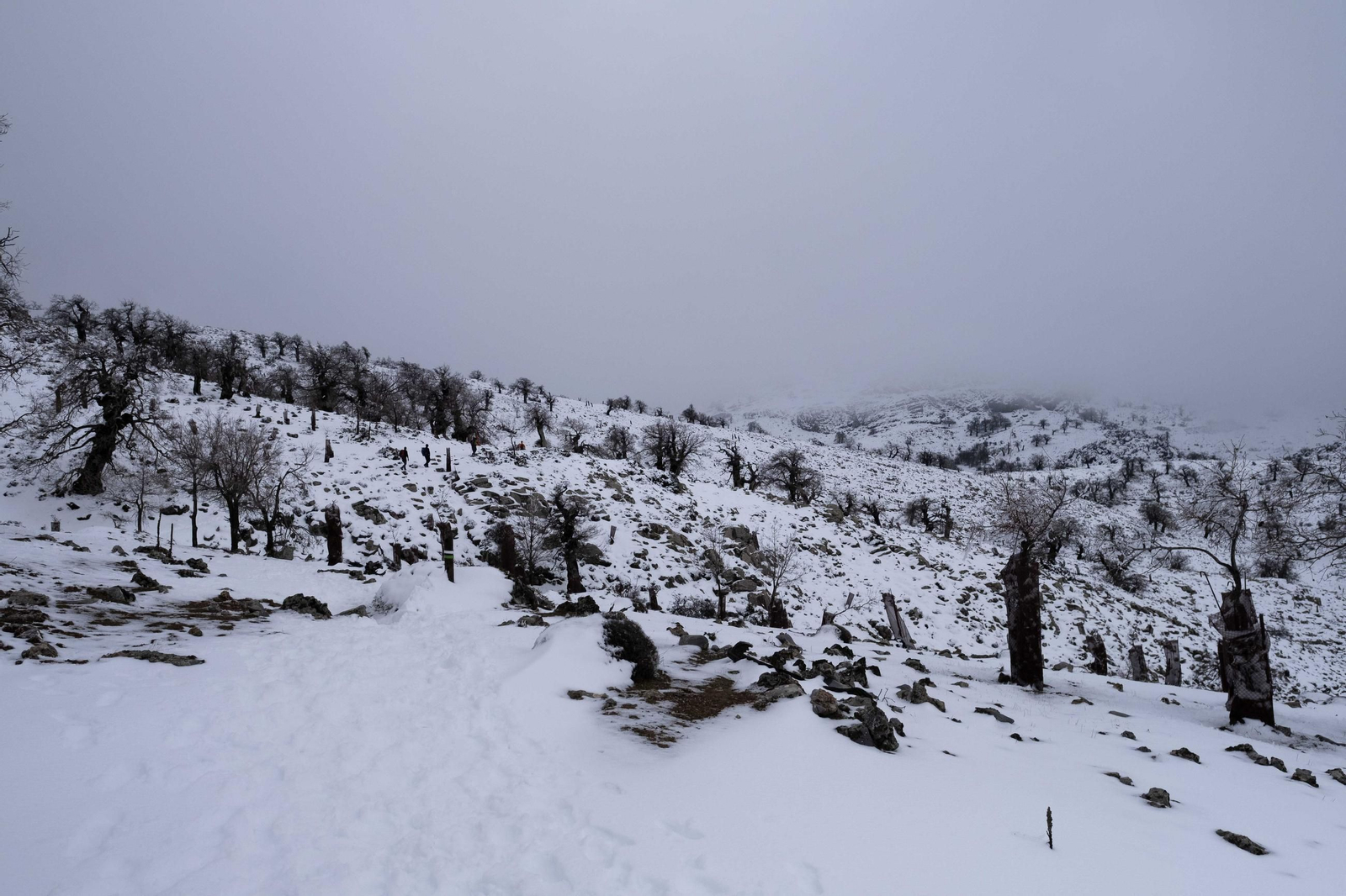 La ruta por la nieve en el Parque Nacional Sierra de las Nievas, en imágenes