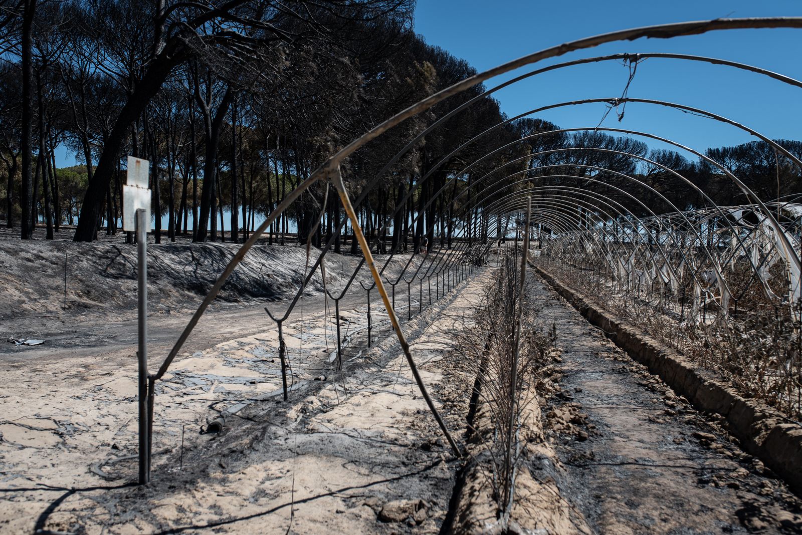 El rastro del incendio de Almonte en imágenes