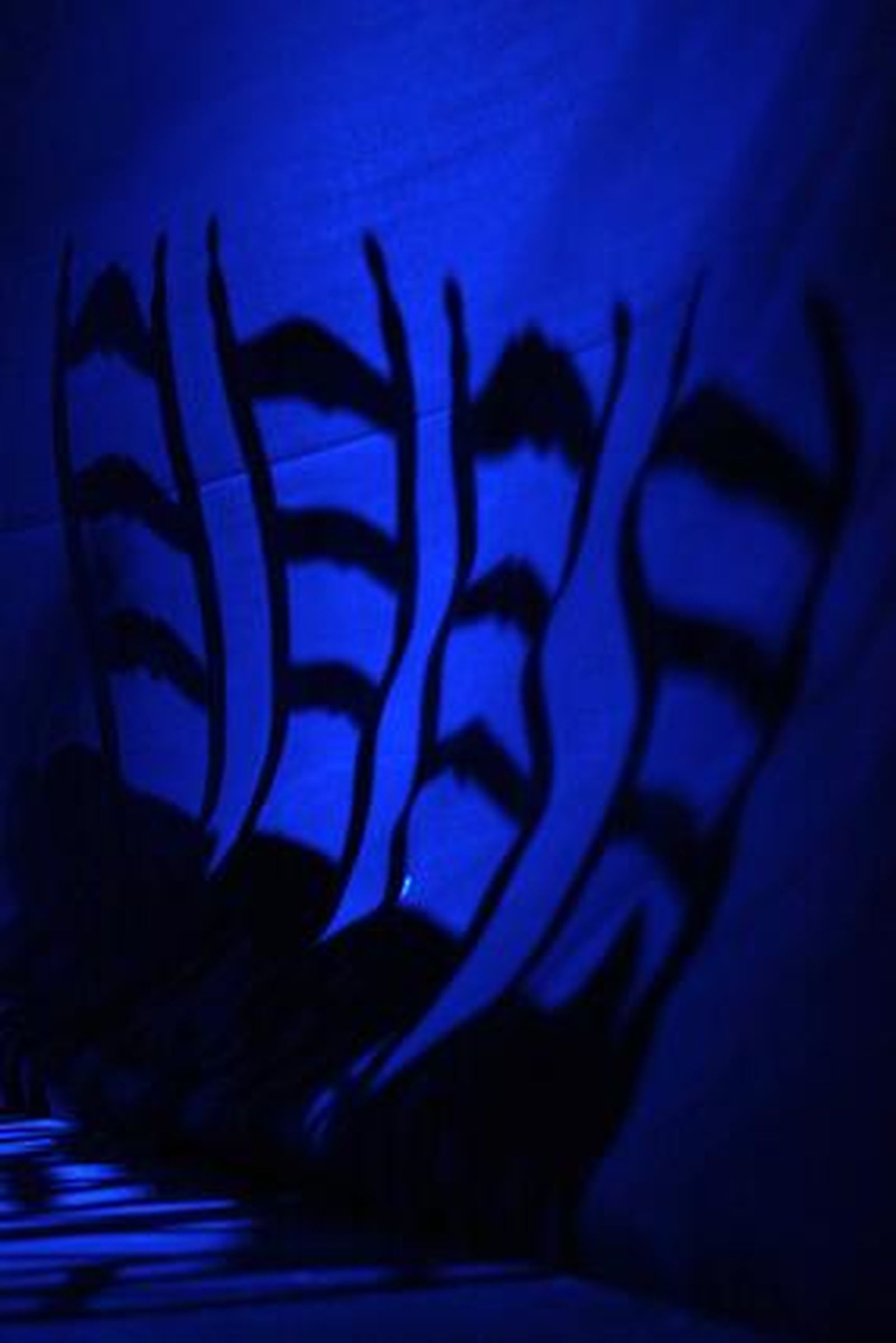 Foto: Jose Martinez/ Rafael A. Butelo