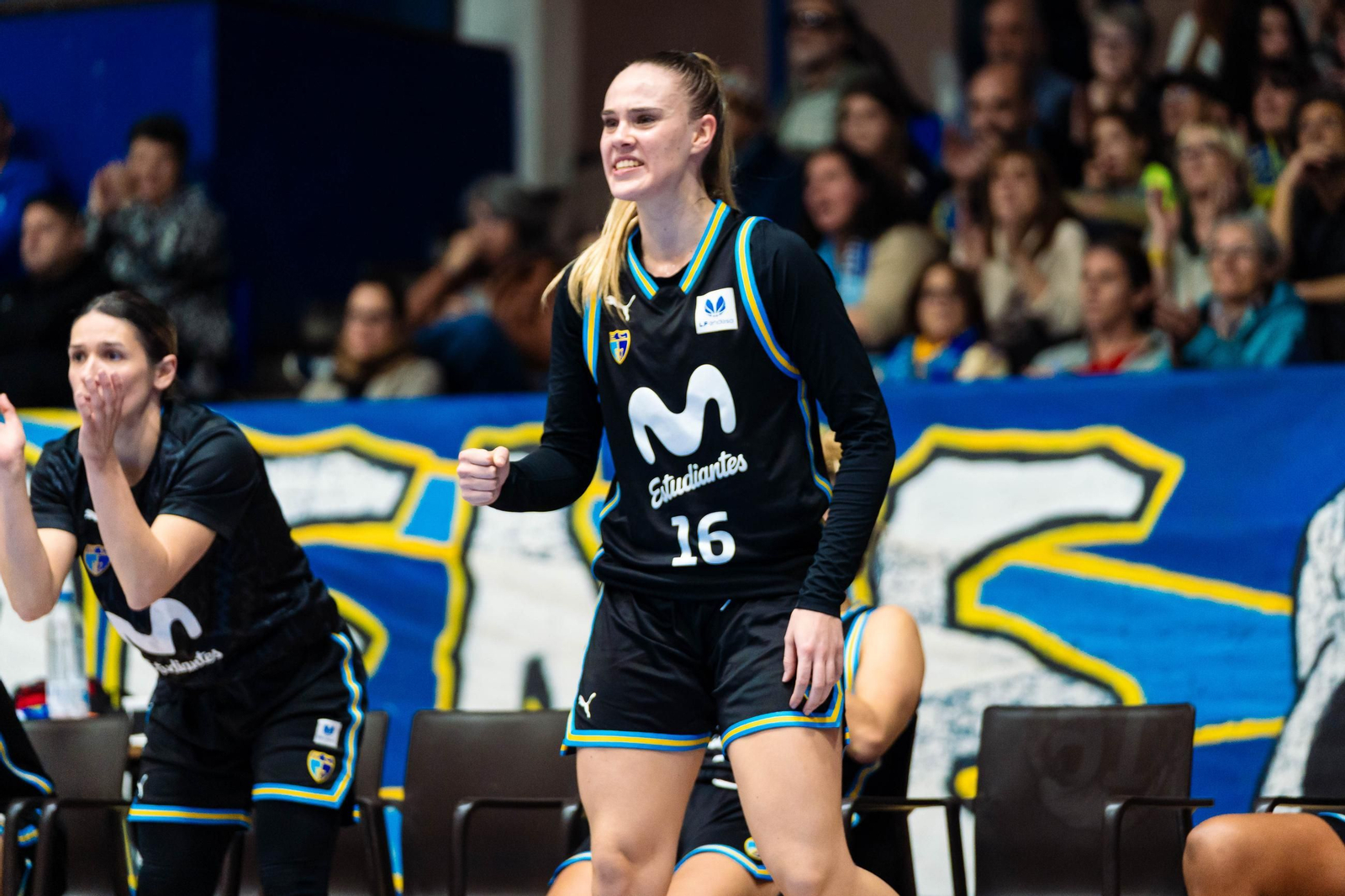 El CAB Estepona da vida al Movistar Estudiantes (85-60)