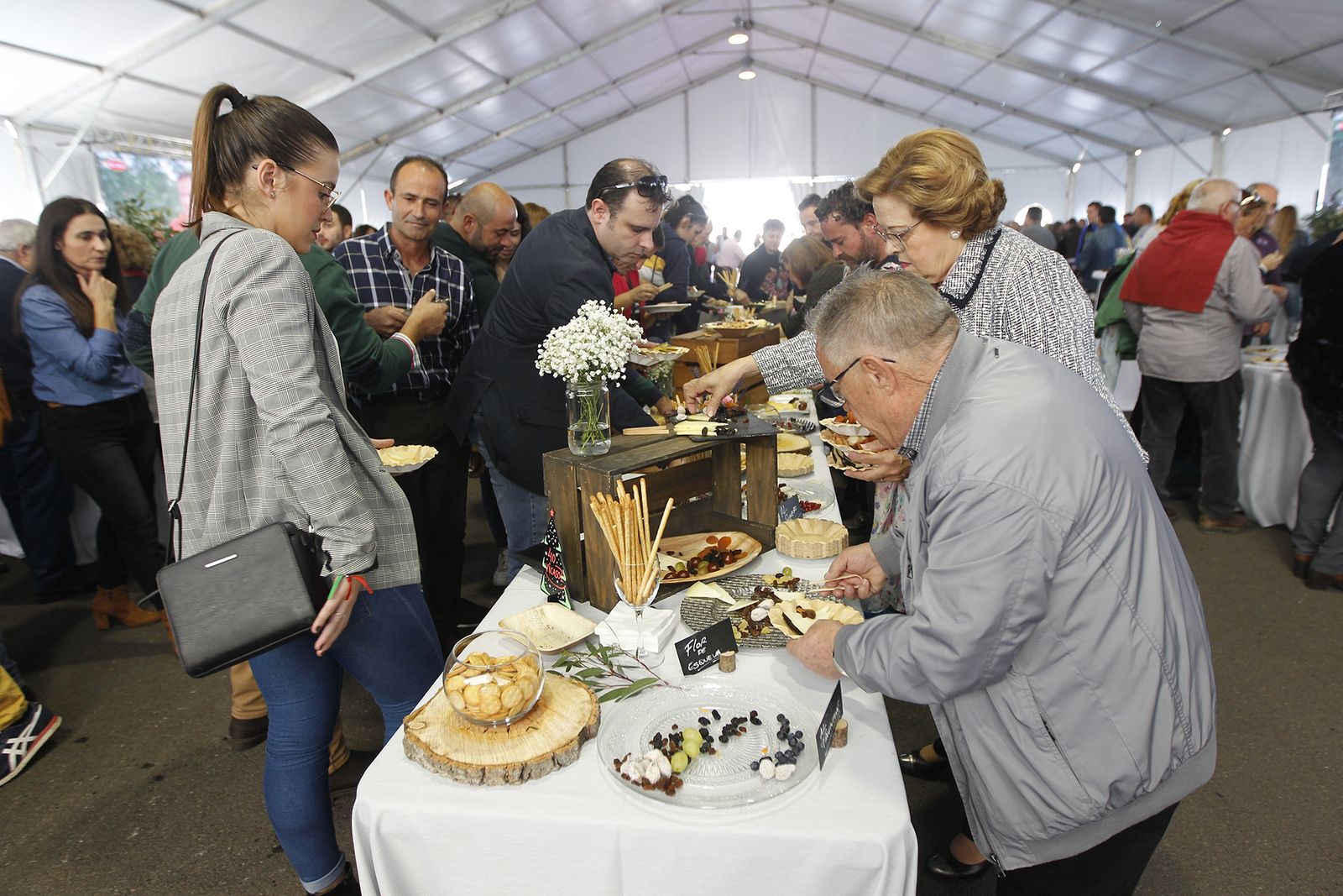 Fotogalería nuevas instalaciones Vicasol 3 en El Ejido