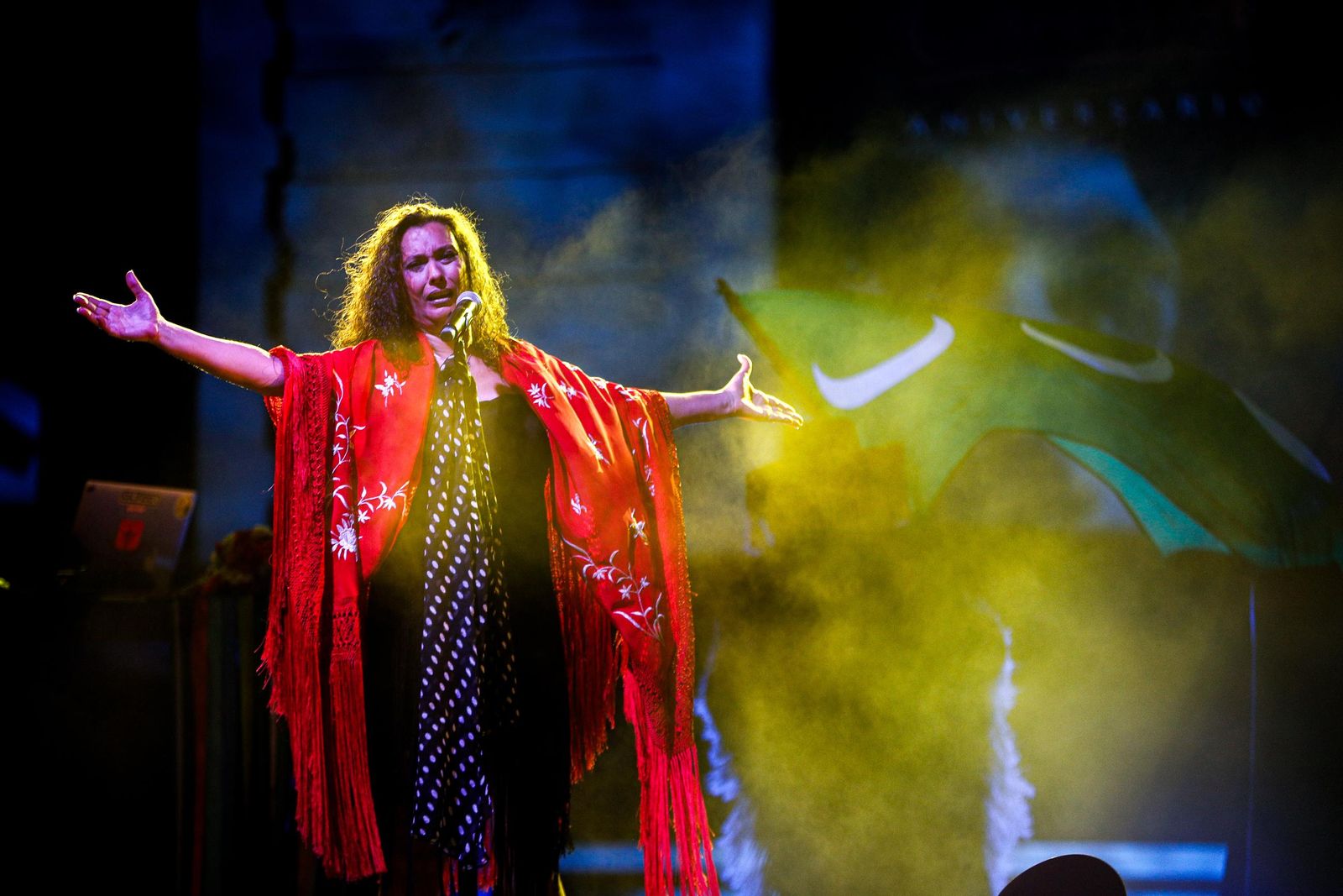 Imágenes del homenaje a Camarón en San Fernando: concierto de La Tremendita y Califato 3/4