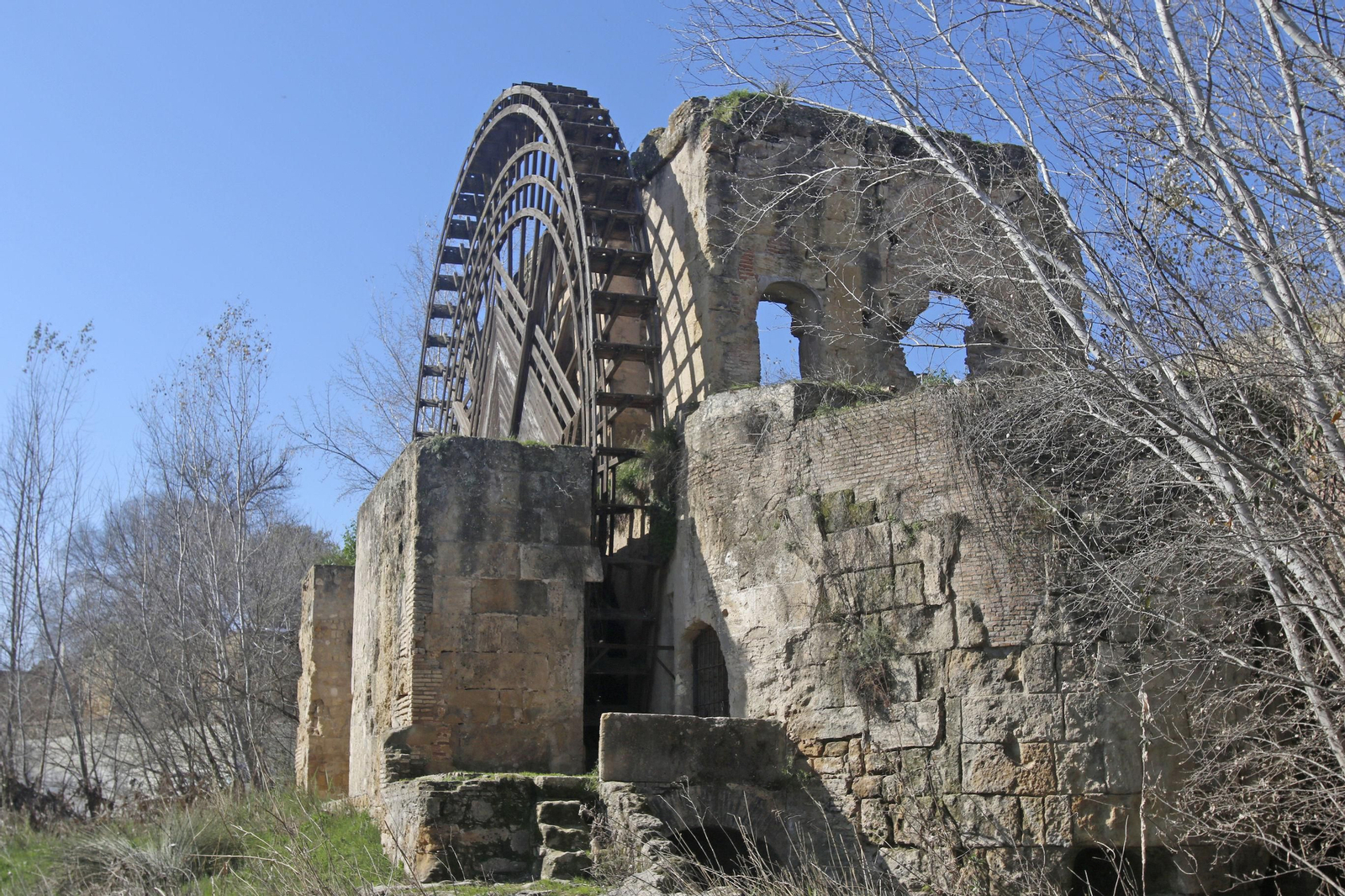 Sotos de la Albolafia Córdoba.