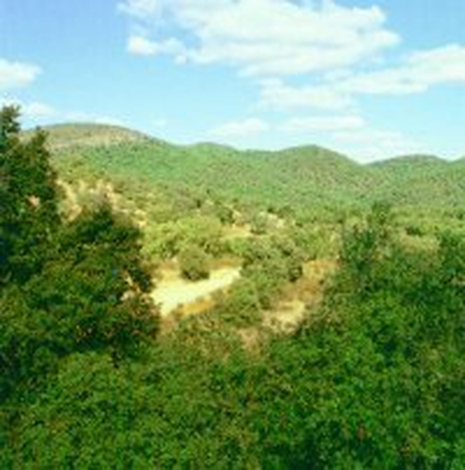 Voluntarios ambientales mejoran el hábitat para anfibios