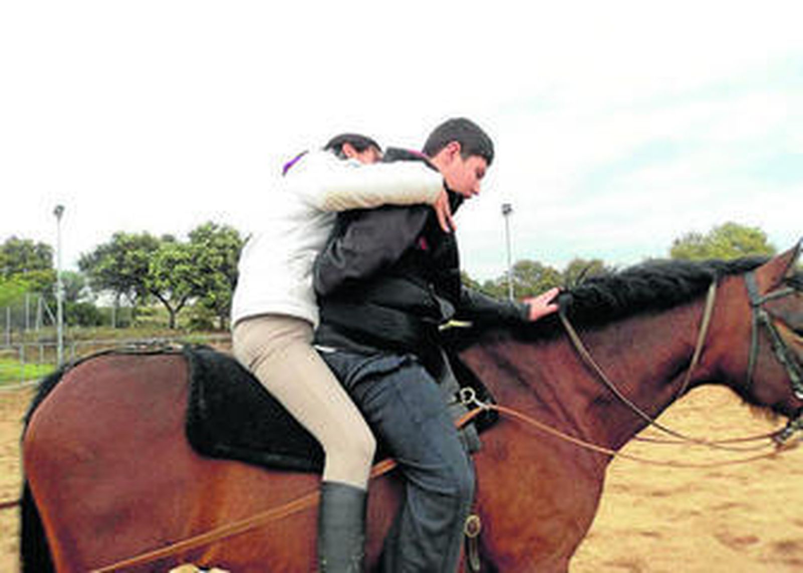 Cómo un caballo puede curar