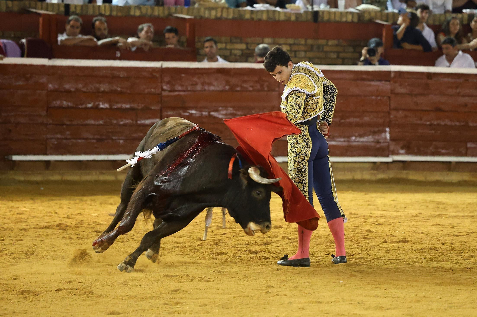 Toros La Merced 2025: Imágenes de la Novillada de Javier Zulueta, Cristian González y Carlos Tirado
